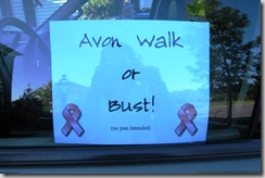 2011 04 - Avon Walk or Bust
