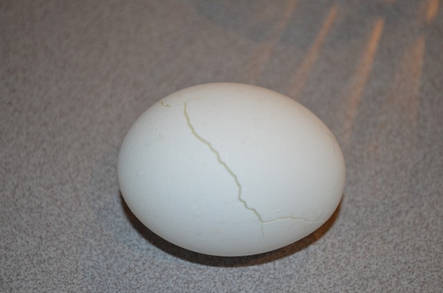 Eggs cracked